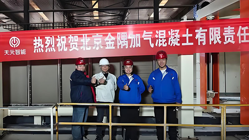 Principales hitos de la puesta en marcha de proyectos clave de Teeyer 2025